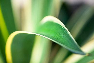 《黎明杀机》将推出《猛鬼追魂》角色 11月下架《怪奇物语》DLC